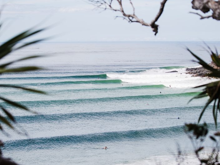 Tea Tree Noosa